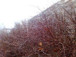 09022009300.jpg