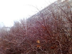09022009300.jpg
