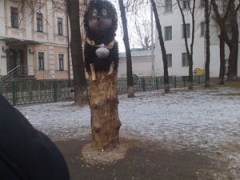01022009299.jpg