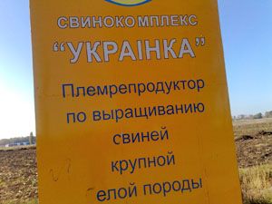 22102008281.jpg