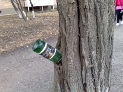 19032009330.jpg