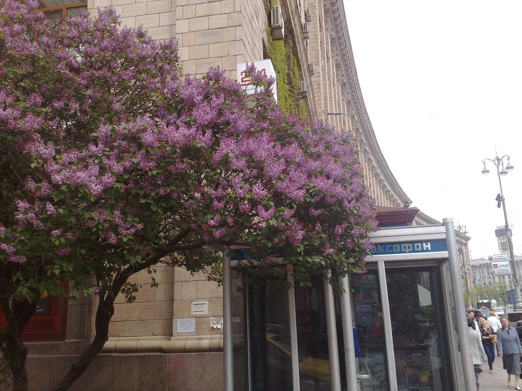 30042009458.jpg