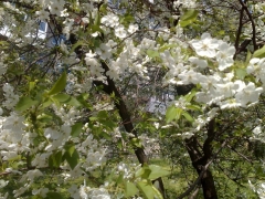 28042009453.jpg