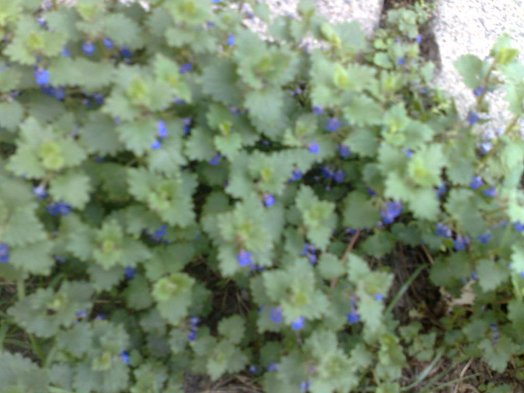 05052009468.jpg