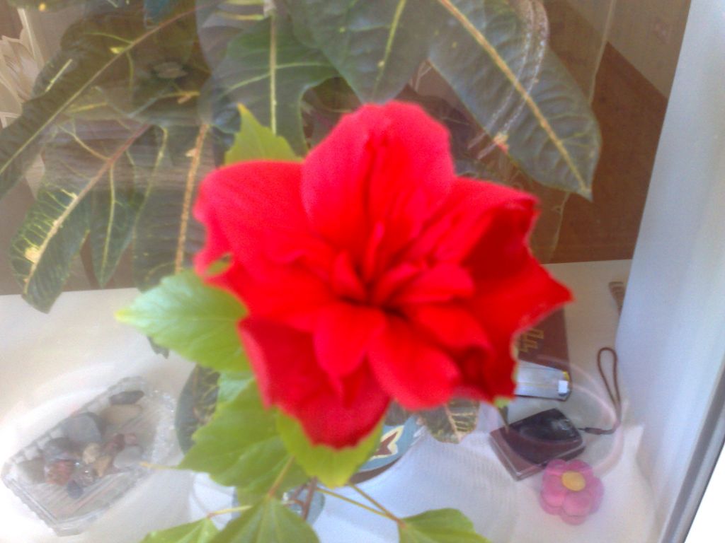 25052009494.jpg