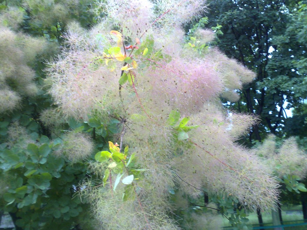 12062009523.jpg