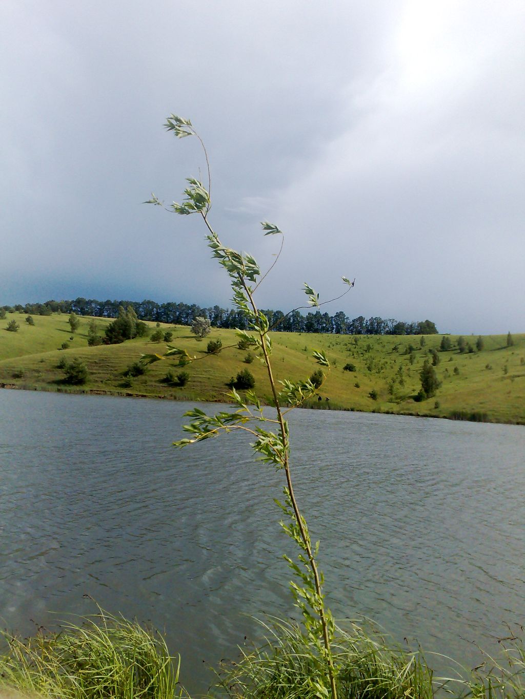 14062009527.jpg