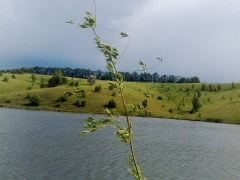 14062009527.jpg