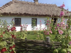 12072009551.jpg