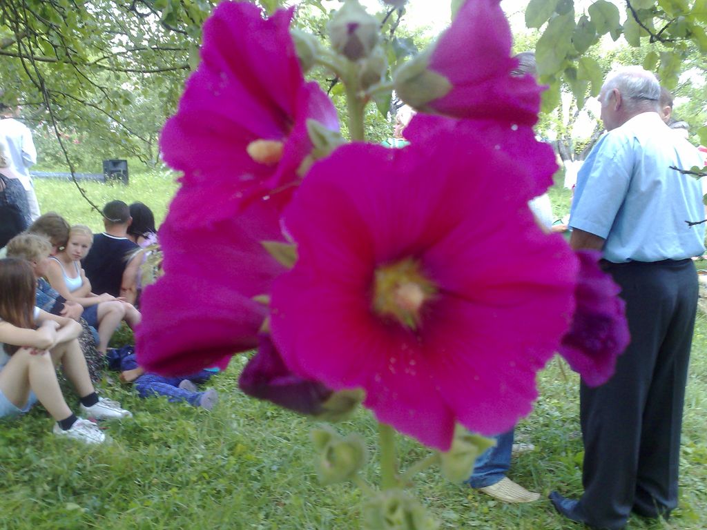 12072009560.jpg
