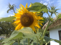 12072009552.jpg