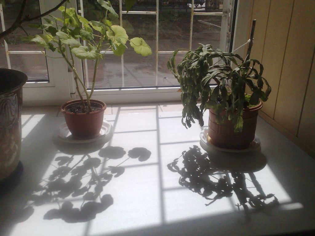 14052009476.jpg