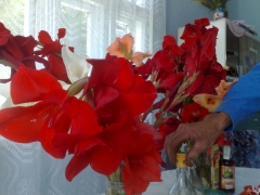 09082009599.jpg