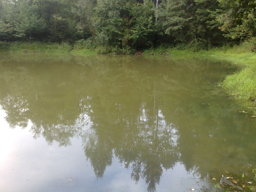 13082009631.jpg
