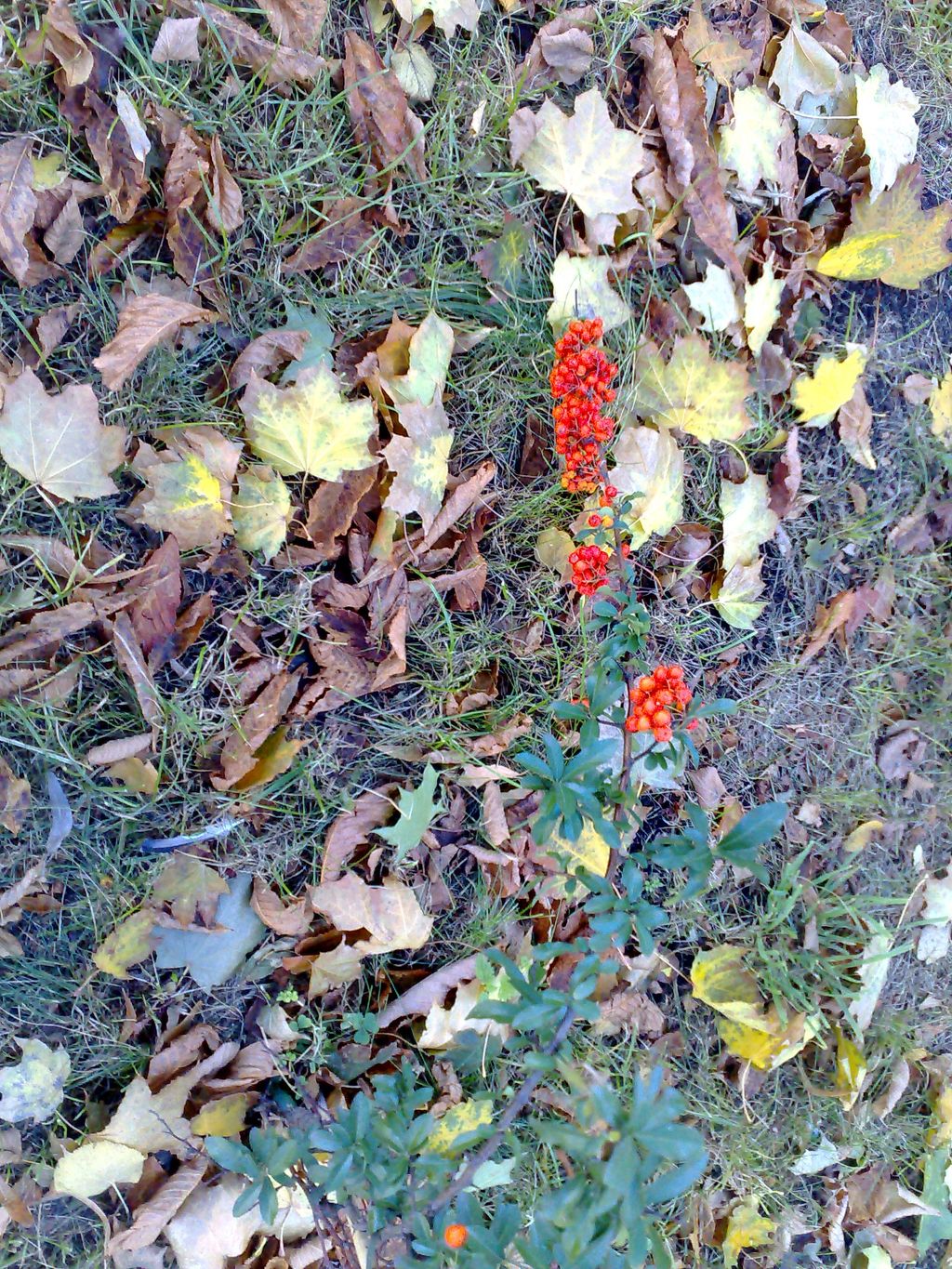 09102009794.jpg