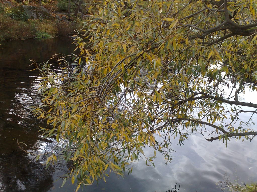 10102009809.jpg