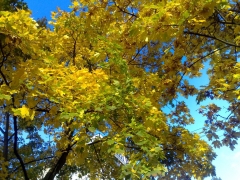12102009823.jpg