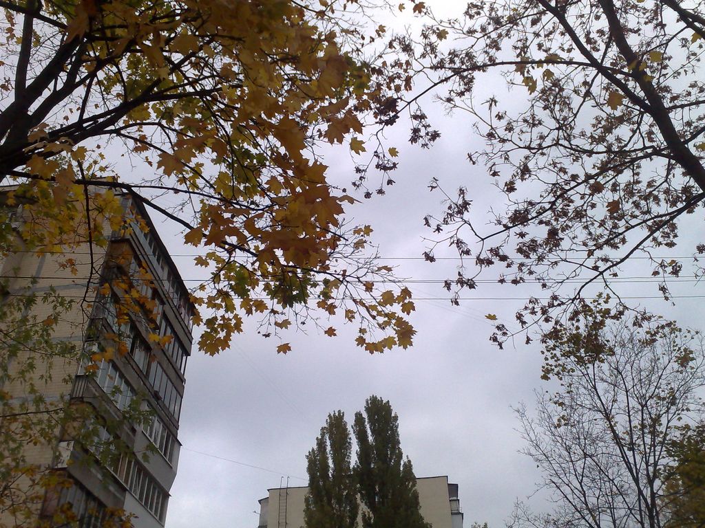 23102009840.jpg