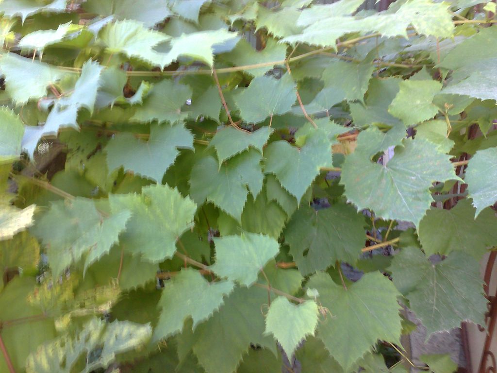 12092009715.jpg