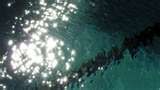 thumbnailCATJHVKQ.jpg