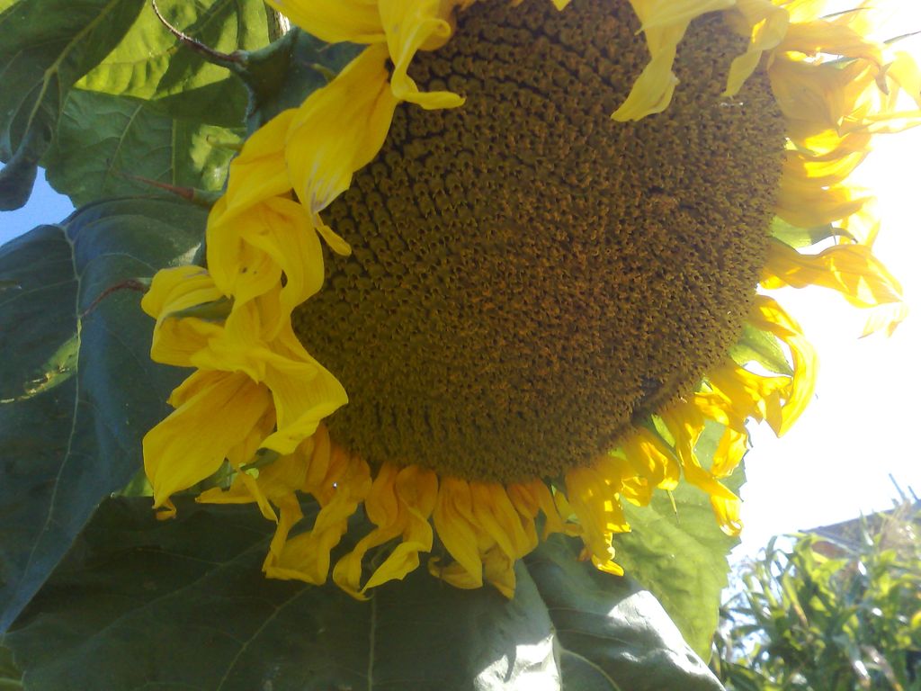 09082009589.jpg