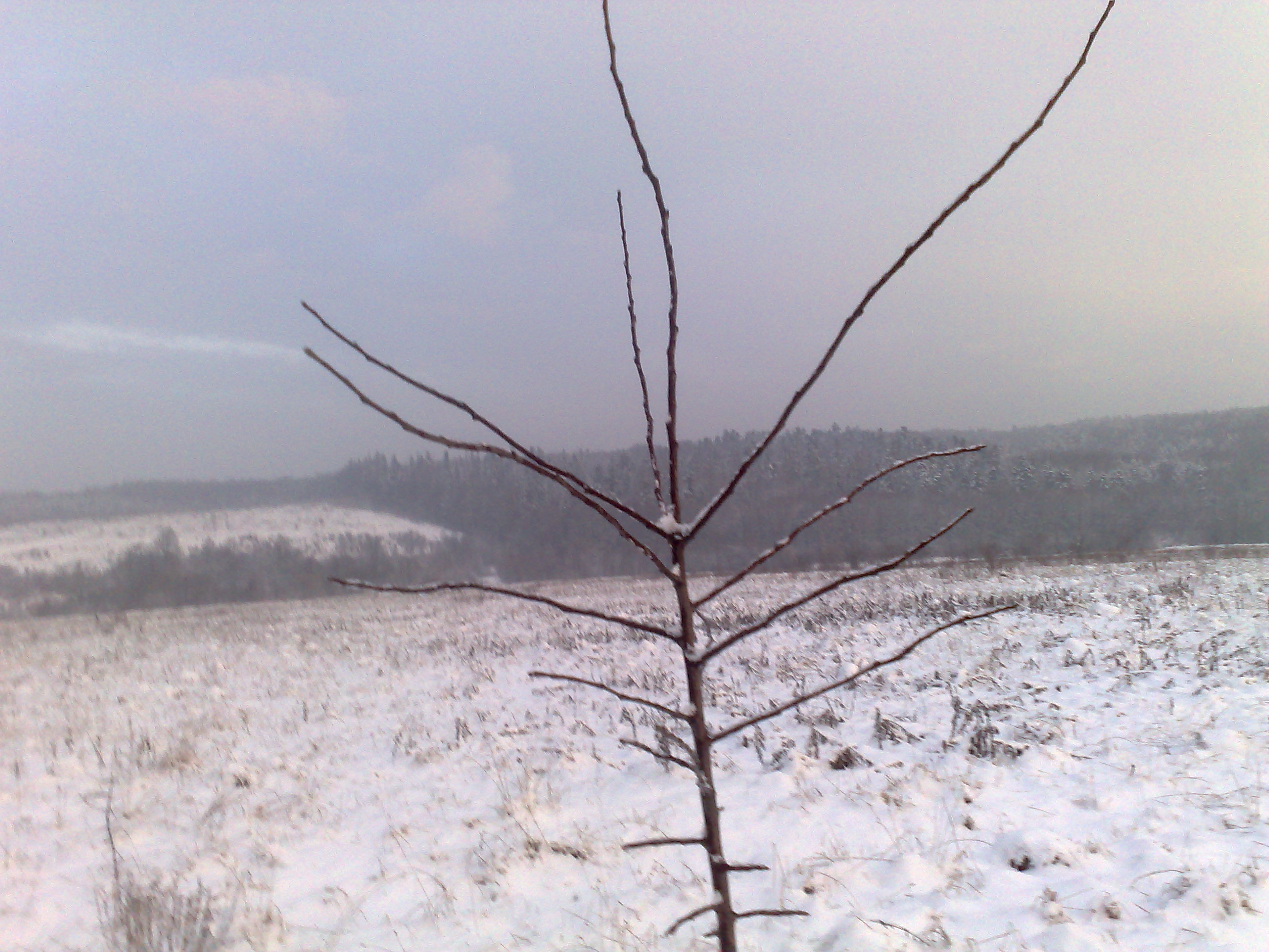 06012010907.jpg