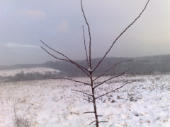 06012010907.jpg