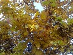 26102009842.jpg