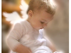 s320x2401.jpg