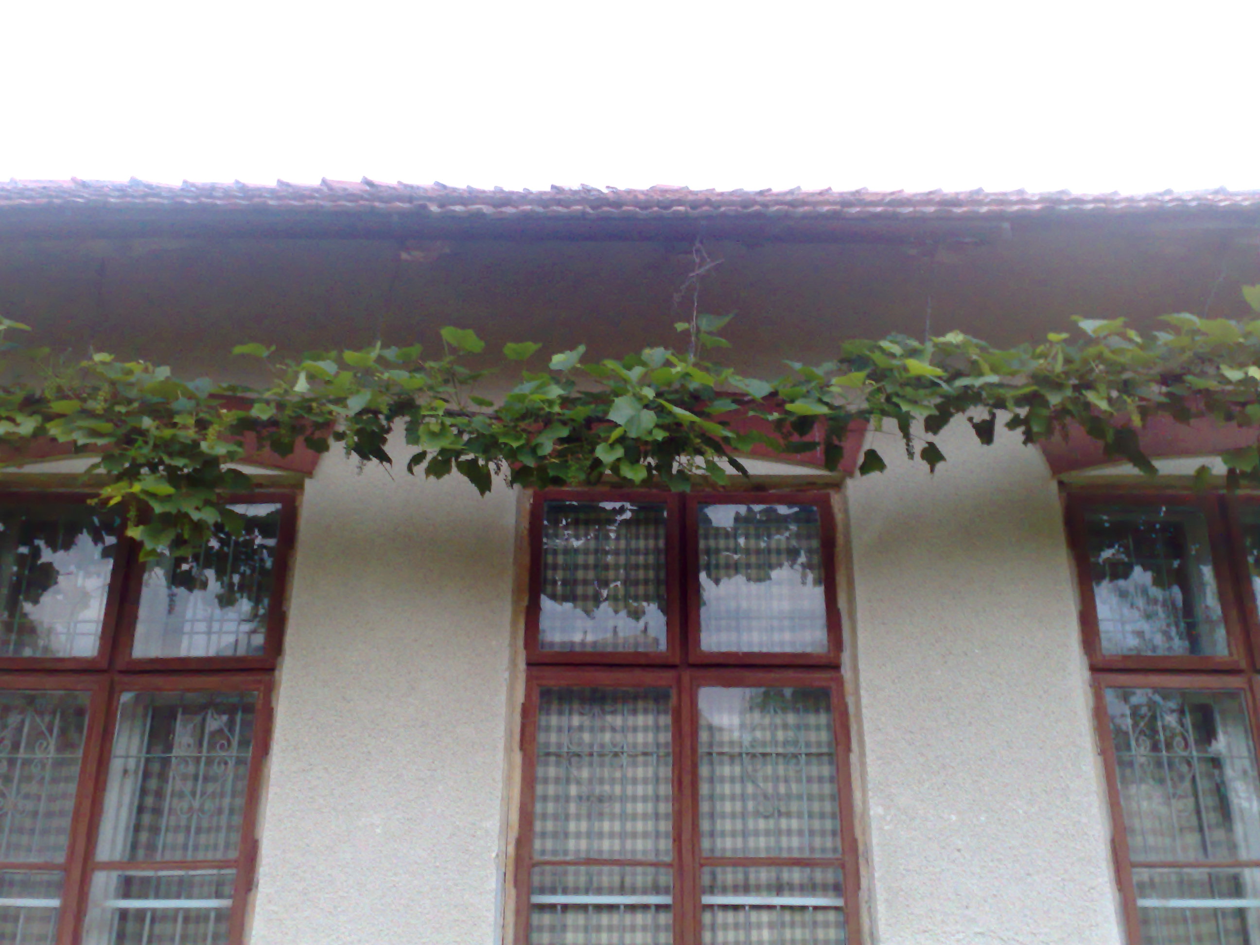 020720101011.jpg