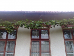 020720101011.jpg