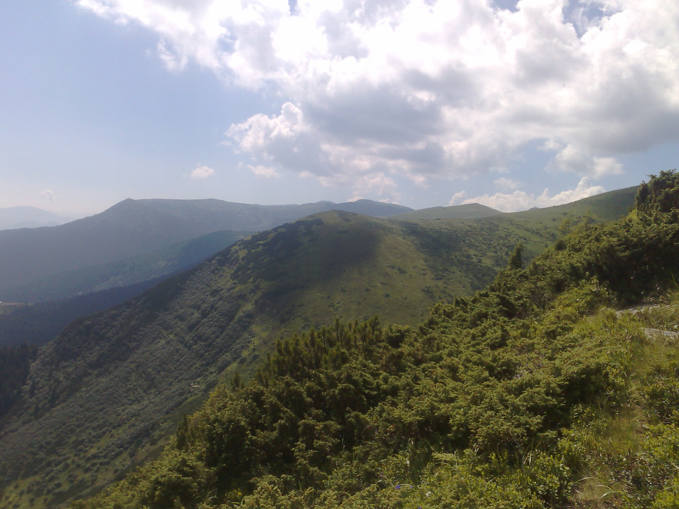 170720101015.jpg