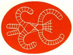 74.jpg