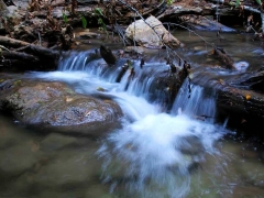 y_86538e4a.jpg
