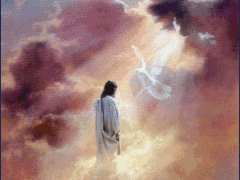 a09912a47a5b1.gif