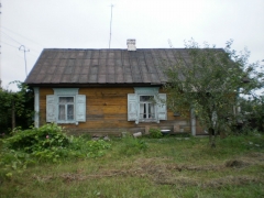 z_55ead14e.jpg