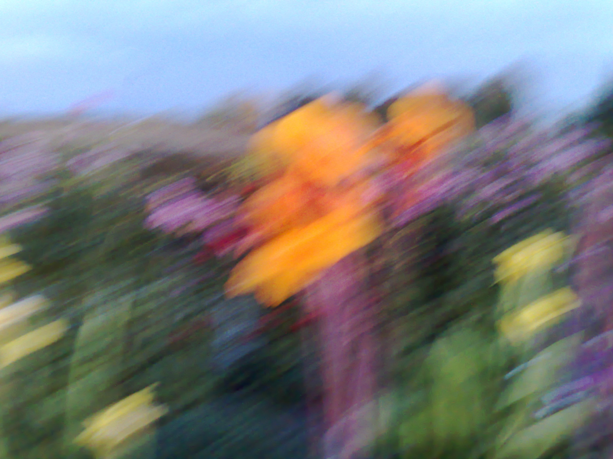 18092009764.jpg