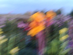 18092009764.jpg