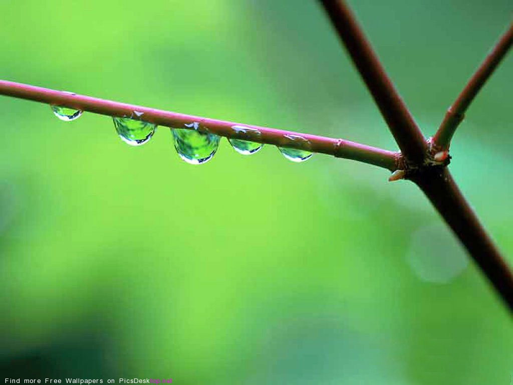 PicsDesktop.net_38.jpg