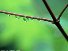 PicsDesktop.net_38.jpg