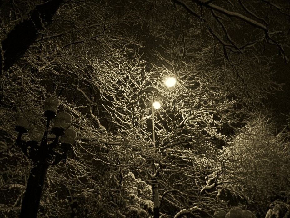 10373040_bc652de7.jpg