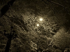 10373040_bc652de7.jpg