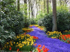 PicsDesktop.net_72.jpg