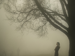 800x656372rrr.jpg