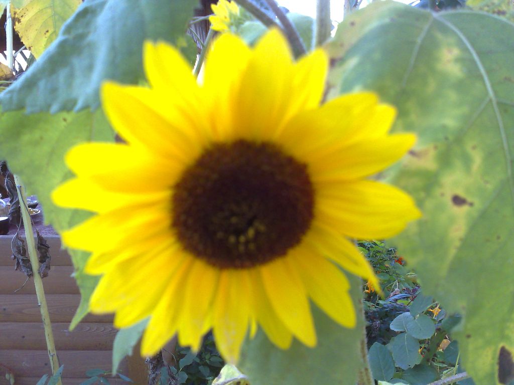 s22_a3215_12092009716.jpg