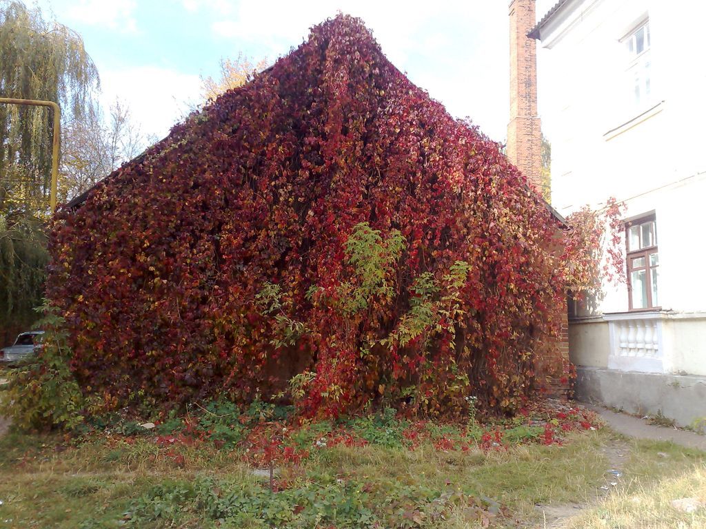 s22_a3457_10102009815.jpg