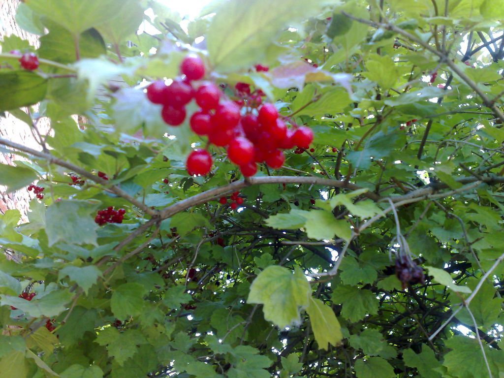 s22_a3531_13092009723.jpg