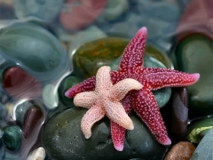 s22_a4086_142418.jpg