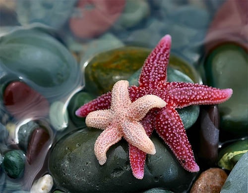 s22_a4086_142418.jpg