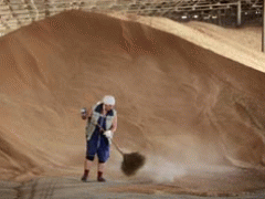 s22_a5380_31956.gif